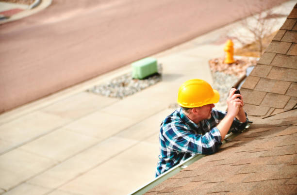 Best Roof Gutter Cleaning  in Columbus Grove, OH