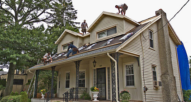 Best Roof Maintenance Services  in Columbus Grove, OH