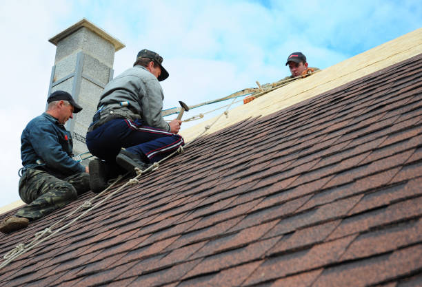 Best Residential Roofing Contractor  in Columbus Grove, OH